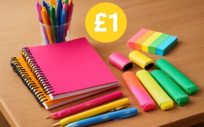 Discover the Best Deals on Trendy £1 Stationery for Budget-Friendly Office & School Supplies