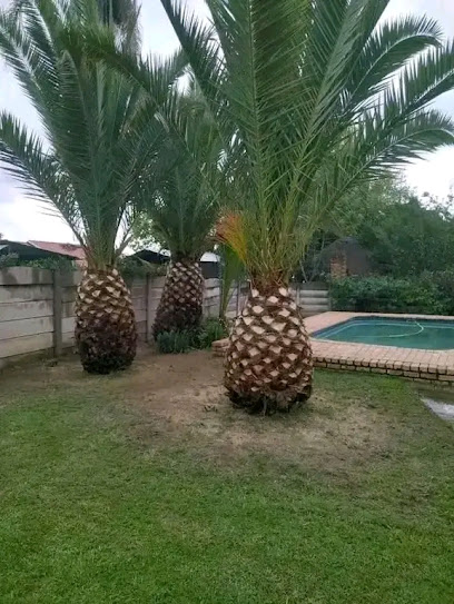 209579085589